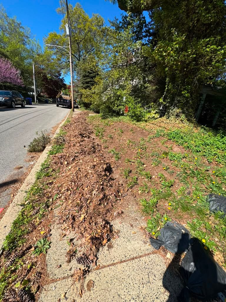 Mulch installation work by Green Force Property Services